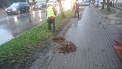 chodniki i skwer usuwanie liści przy ulicy 700 lecia